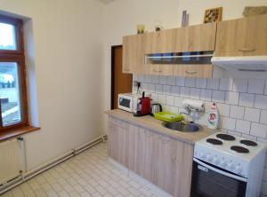 Η κουζίνα ή μικρή κουζίνα στο Penzion u Náhonu