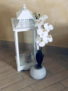 un fiore bianco in un vaso con una lampada di CORTE BIANCA a Monopoli