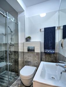 a bathroom with a toilet and a shower and a sink at Akoja in Władysławowo +38 photos
