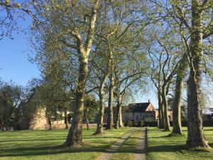 Gallery image of Logis de la Helberdière in Cossé-en-Champagne
