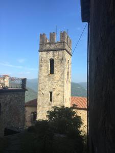 Príroda v okolí of the country house