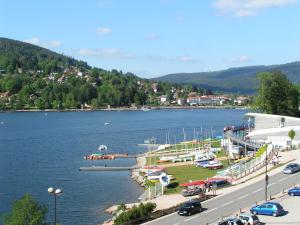 a large body of water with a marina with boats at Chalet Les Camélias SPA in Gérardmer