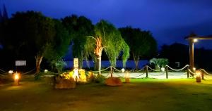 a park with a palm tree and lights at night at POUSADA PARAÍSO DA LAGOA in Barra de Ibiraquera