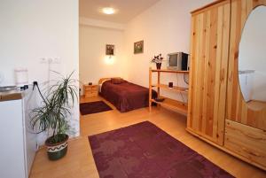 a room with a bedroom with a bed and a tv at Hungaria Apartments in Pécs