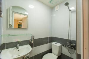 a bathroom with a toilet and a sink and a mirror at Mereti in Borjomi