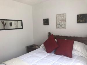 1 dormitorio con 1 cama con 2 almohadas rojas en Elena's Aparment, en León