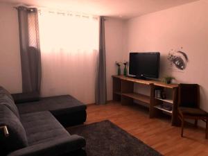TV i/ili multimedijalni sistem u objektu Apart Zireiner See