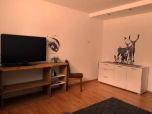 TV i/ili multimedijalni sistem u objektu Apart Zireiner See
