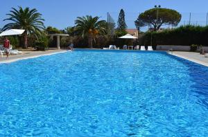 une grande piscine d'eau bleue avec des palmiers dans l'établissement Villa lipari, à Cefalù