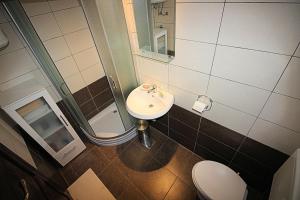 a bathroom with a sink and a shower and a toilet at House Marko Breze in Ledenice +20 photos