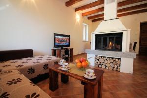 a living room with a fireplace and a couch at House Marko Breze in Ledenice