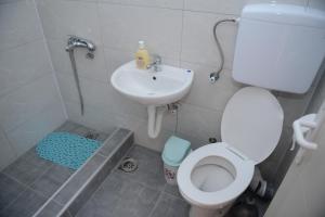 Fotografie z fotogalerie ubytování Prenoćište-Vila Tasić v destinaci Vranje