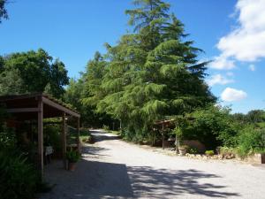 Príroda v okolí of the country house