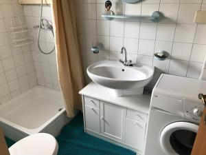 een badkamer met een wastafel en een wasmachine bij Haus Stadlau in Klaffer am Hochficht