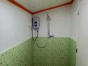 eine Dusche im Bad mit grüner Wand in der Unterkunft J&J Tourist Inn in Panglao