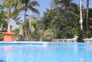 Bazén v ubytování Hotel Magic Tropical nebo v jeho okolí