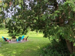 un grupo de sillas sentadas bajo un árbol en Pine Trees View Bungalow, en Ottawa