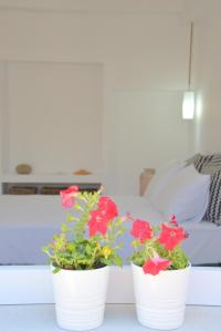 dois potes brancos com flores vermelhas num quarto em La casa de Zag em Adamas