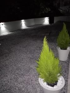 two potted plants sitting on a table with lights at Crystal Blue Apartments in Nea Kalikratia