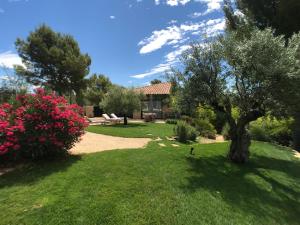 a yard with a house with a tree and flowers at Mer et Provence in La Cadière-dʼAzur