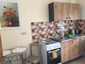 a small kitchen with a stove and a sink at Napfény Apartman in Sárospatak
