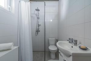 a bathroom with a shower and a toilet and a sink at Miejsce Mocy in Ustrzyki Dolne