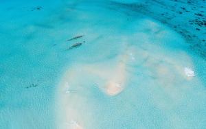 Imagem da galeria de The Castaway retreat em Feridhoo