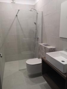 a bathroom with a shower and a toilet and a sink at Apartments Mareta in Rab