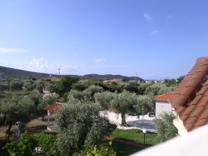 Φυσικό τοπίο κοντά σε αυτό το διαμέρισμα