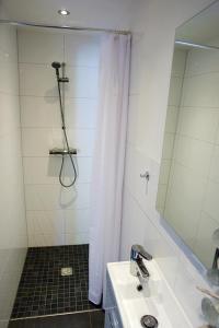 ein Bad mit einer Dusche, einem Waschbecken und einem Spiegel in der Unterkunft Baumhaus Freiburg in Freiburg im Breisgau