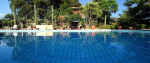 a large swimming pool with blue water and trees at Agriturismo Gianferrante in Paterno