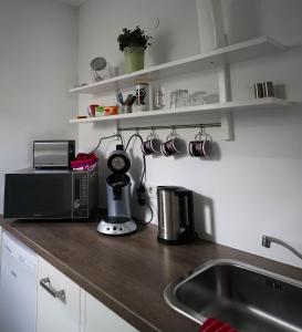 a kitchen counter with a sink and a microwave at Hostel Nordkirchen by Frerichmann in Nordkirchen