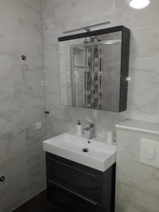 Koupelna v ubytování Apartments Knežević
