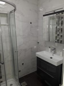 Koupelna v ubytování Apartments Knežević