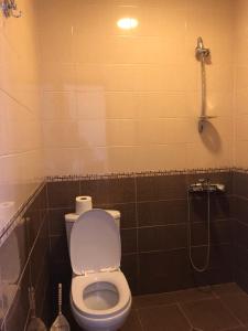 a bathroom with a toilet and a shower at Guest house Romanadze in Kobuleti +16 photos