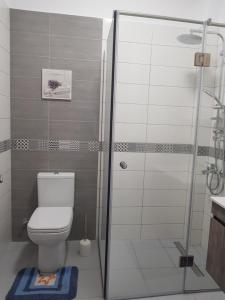 Koupelna v ubytování Mango apartment