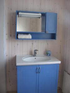 a bathroom with a sink and a mirror at Heimdallhuset in Skånes Värsjö