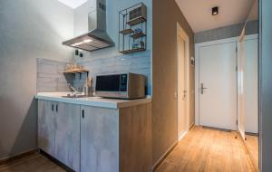 una cocina con fregadero y microondas en New Gudauri, Red Co. Loft 2., en Gudauri 12 fotos más