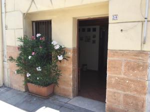 Gallery image of Apartment Bellomia in Palermo