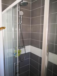 a bathroom with a shower with a glass door at Appartement Rue Haute des Bains in Le Croisic +10 photos