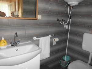 沙羅什保陶克的住宿－Napfény Apartman，一间带水槽和卫生间的浴室