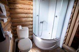 uma casa de banho com um WC e uma cabina de duche em vidro. em Частный дом Elisa Sarkau em Lesnoy