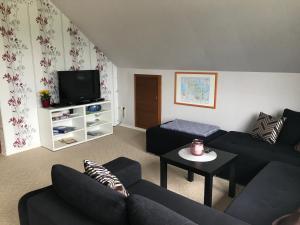 a living room with a couch and a tv at Ferienwohnung Pamme in Hanerau-Hademarschen