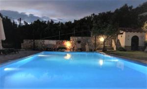 a large blue swimming pool in front of a building at Villa Spartias in Skiathos