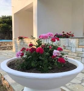 a flower bed in a white bowl with pink flowers at Villa Spartias in Skiathos