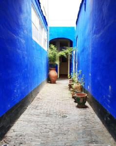 an alley with blue walls and potted plants on it at The City Palace - R.Q.C. in The Hague