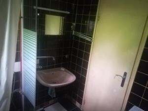 Kúpeľňa v ubytovaní Badacsonyi Lugas apartmanok