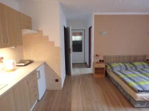 kuchnia i sypialnia z łóżkiem i ladą w obiekcie Apartments Večerník Rokytnice w Rokitnicach nad Izerą