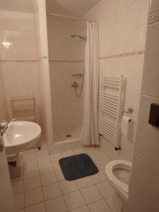 W łazience znajduje się prysznic, toaleta i umywalka. w obiekcie Apartments Večerník Rokytnice w Rokitnicach nad Izerą