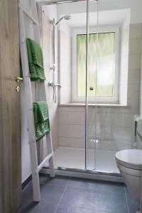 y baño con ducha y ducha acristalada en la puerta trasera. en Residence Belvedere, en Barcis